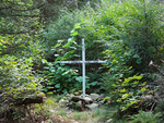 from a photo gallery documenting a solo canoe trip from brent to catfish lake in algonquin park