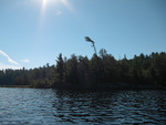 from a photo gallery documenting a solo canoe trip from brent to catfish lake in algonquin park