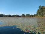 from a photo gallery documenting a solo canoe trip from brent to catfish lake in algonquin park
