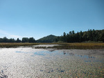 On the Petawawa River in Algonquin Park looking towards Sunfish Lake