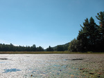 from a photo gallery documenting a solo canoe trip from brent to catfish lake in algonquin park