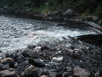 from a photo gallery documenting a solo canoe trip from brent to catfish lake in algonquin park