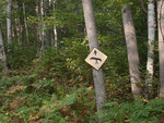 from a photo gallery documenting a solo canoe trip from brent to catfish lake in algonquin park