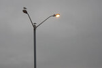 navigational icon