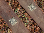 navigational icon