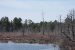 Early spring along the Berm Lake Trail in eastern Algonquin Park