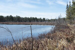Early spring along the Berm Lake Trail in eastern Algonquin Park