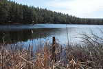 Early spring along the Berm Lake Trail in eastern Algonquin Park