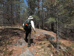 Early spring along the Berm Lake Trail in eastern Algonquin Park