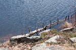 Early spring along the Berm Lake Trail in eastern Algonquin Park