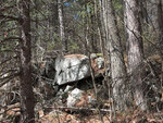 Early spring along the Berm Lake Trail in eastern Algonquin Park