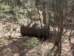 Early spring along the Berm Lake Trail in eastern Algonquin Park