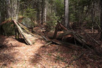 Early spring along the Berm Lake Trail in eastern Algonquin Park