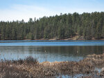 Early spring along the Berm Lake Trail in eastern Algonquin Park