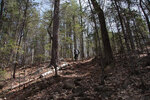 Early spring along the Eastern Pines Hiking Trail in eastern Algonquin Park in the vicinity of the lookout