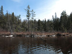 Early spring through Johnston Lake and Berm Lake  by canoe from Achray in eastern Algonquin Park