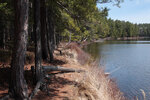 Early spring through Johnston Lake and Berm Lake  by canoe from Achray in eastern Algonquin Park