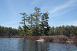 Early spring through Johnston Lake and Berm Lake  by canoe from Achray in eastern Algonquin Park