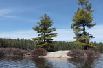 Early spring through Johnston Lake and Berm Lake  by canoe from Achray in eastern Algonquin Park