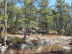 Early spring through Johnston Lake and Berm Lake  by canoe from Achray in eastern Algonquin Park