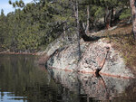 Early spring through Johnston Lake and Berm Lake  by canoe from Achray in eastern Algonquin Park