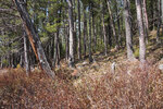 Early spring through Johnston Lake and Berm Lake  by canoe from Achray in eastern Algonquin Park