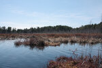 Early spring through Johnston Lake and Berm Lake  by canoe from Achray in eastern Algonquin Park