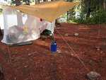 rain water collection on Cauchon Lake in Algonquin Park