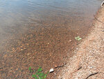 Cauchon Lake in Algonquin Park