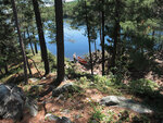 island at top of Cedar Lake in Algonquin Park