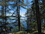 island at top of Cedar Lake in Algonquin Park