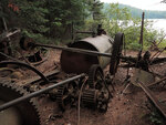 Alligator remains on Catfish Lake in Algonquin Park