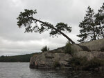 Catfish Lake in Algonquin Park