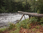 Catfish rapids on the Petawawa River in Algonquin Park