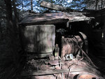Alligator remains on Burntroot Lake in Algonquin Park