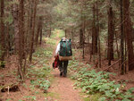 portage from Luckless Lake to Nipissing River in Algonquin Park