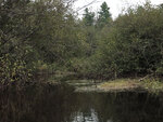 Mouth of Plumb Creek on  Nipissing River in Algonquin Park