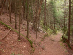 Portage along Nipissing River in Algonquin Park