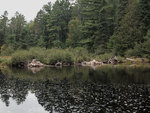Bridge remains on  Nipissing River in Algonquin Park