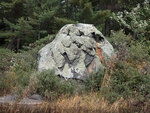 navigational icon