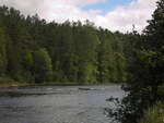 Top of Rollway Rapids on the Petawawa River in Algonquin Park