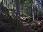 Portage around Rollway Rapids  on the Petawawa River in Algonquin Park