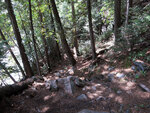 Portage trail around the first part of Natch Rapids on the Petawawa River in Algonquin Park