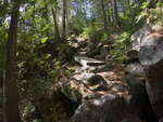 Goat trail around The Natch Rapids on the Petawawa River in Algonquin Park