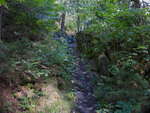 Goat trail around The Natch Rapids on the Petawawa River in Algonquin Park