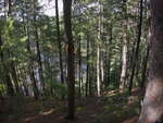 On the clifftop at The Natch on the Petawawa River in Algonquin Park