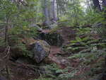 Trail to the clifftop at The Natch on the Petawawa River in Algonquin Park