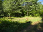 Campsite at power lines along Schooner Rapids on the Petawawa River in Algonquin Park