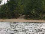 takeout at McManus Lake on the Petawawa River in Algonquin Park