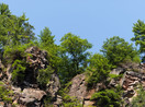 navigation icon